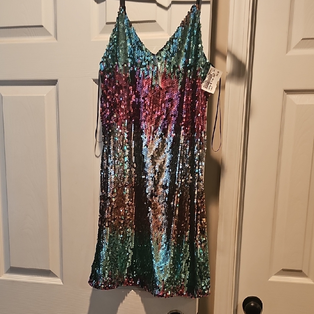 Express Shimmering Sequin Dress